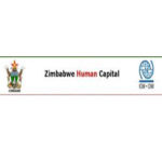 Zimbabwe Human Capital