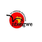 Ntengwe